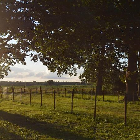 Ferienhaus Grafenland Dersum Eksteriør bilde